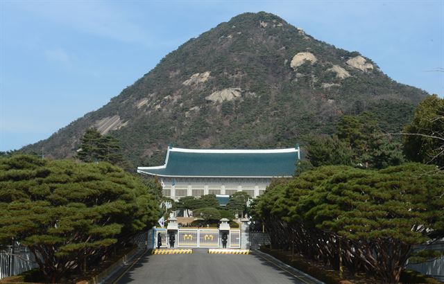 경찰들이 23일 청와대 본관 앞에서 경비 업무를 하고 있다. 고영권기자