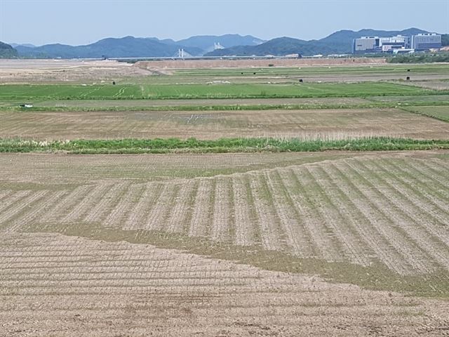 세종 중앙공원 부지 전경.