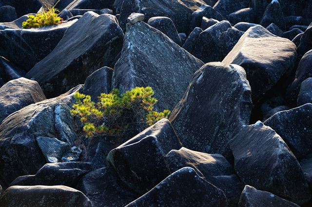 경남 밀양시 삼랑진읍 용전리의 산골 끝자락에 만어사(萬魚寺)는 부처님의 설법에 이끌려 산을 찾은 바다 용왕의 아들이 돌로 변했다는 미륵암과 그를 따르던 물고기가 역시 돌이 된 만어석 전설이 내려온다.