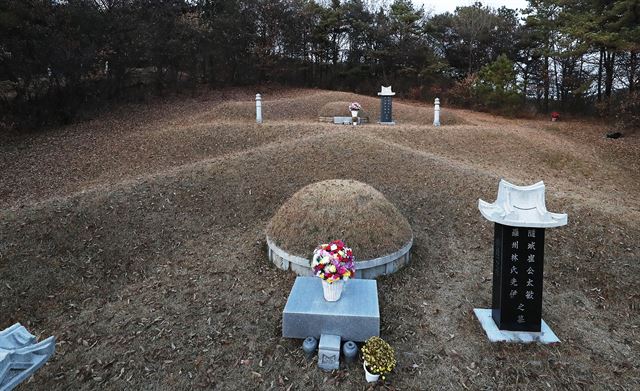 경기 용인시의 한 야산에 불법 조성된 고 최태민씨의 묘지. 용인=연합뉴스