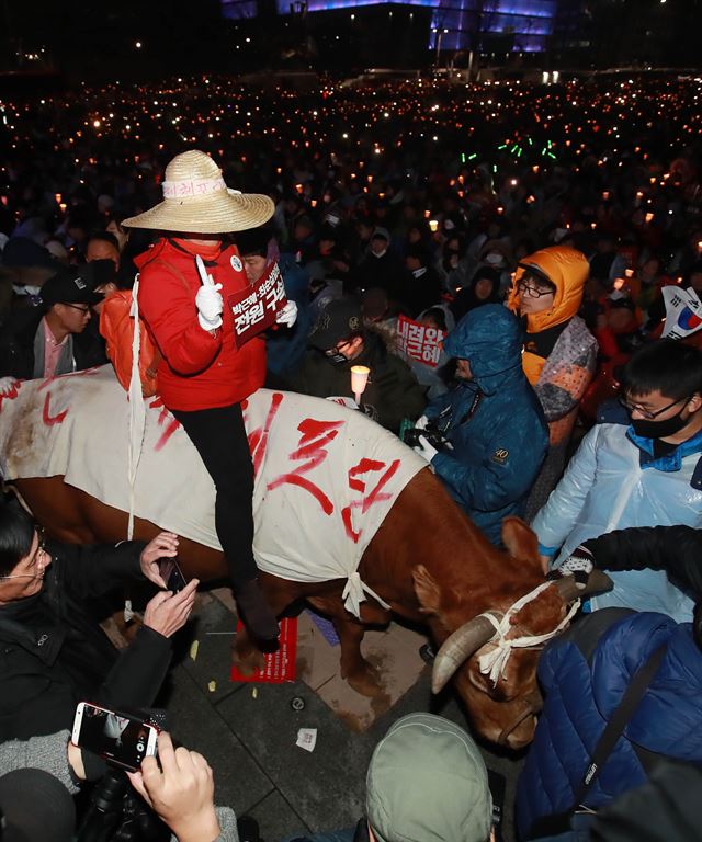 지난 26일 집회 현장에 황소를 끌고 나온 사람도 있었다. 당시 온라인 커뮤니티에는 소가 토하고 비틀거려 수의사를 찾는다는 글도 올라왔었다. 연합뉴스