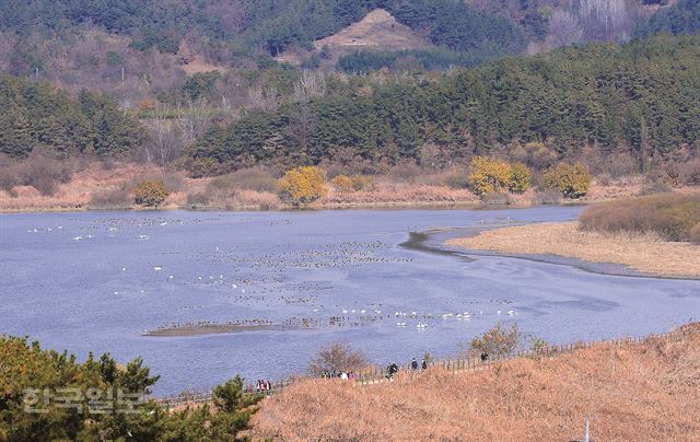 대대제방 탐방로와 소벌. 겉보기엔 늪이 아니라 깔끔한 호수에 가깝다.