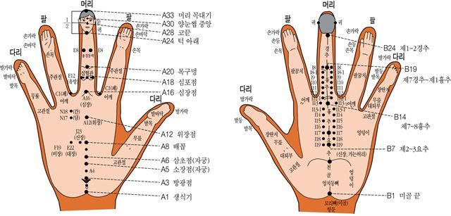 고려수지침 상응도