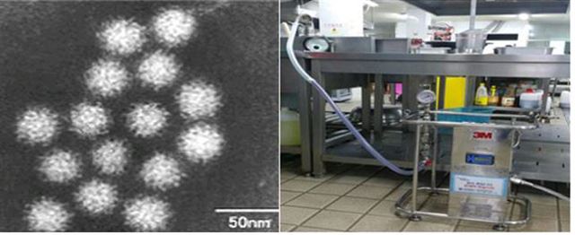 전자현미경으로 관찰된 노로바이러스(왼쪽)와 지하수 채수 장면(오른쪽)