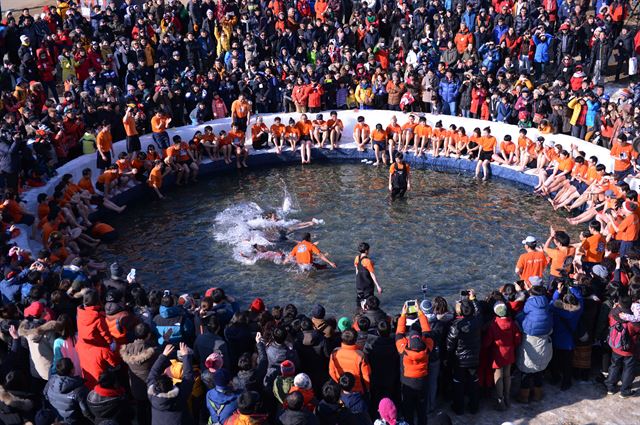 화천산천어축제의 메인 이벤트 가운데 하나인 산천어 맨손잡기. 화천군 제공