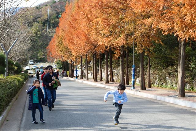 놀이터와 중간중간 쉼터들이 있어 가족 단위로 산책하기에도 좋다.