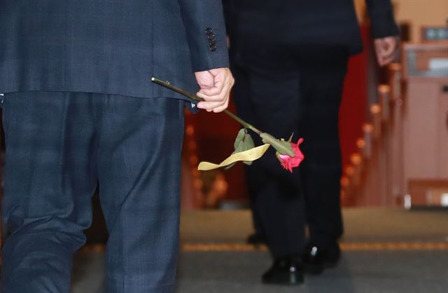 9일 오후 박근혜 대통령 탄핵소추안 표결을 위해 본회의장에 들어가는 의원들이 장미꽃을 들고 있다. 이날 실시된 대통령 탄핵안 표결은 [찬성 234:반대 56]으로 가결되었다. 2016.12.9서울=연합뉴스