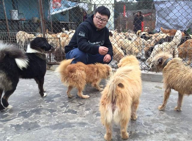 화살에 관통된 개를 구한 동물보호 활동가 웨이 퀴아오의 모습. 퀴아오는 현재 퀴민 동물보호단체에서 1,000여마리의 개와 고양이를 돌보고 있다. 차이나 레스큐 앤 쉘터 페이스북