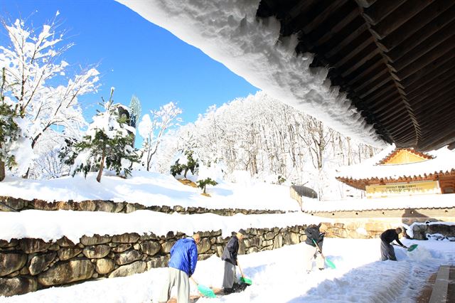 15일 설악산 신흥사 경내에서 스님들이 전날 내린 눈을 치우는 제설작업을 하고 있다. 2016.12.15속초=연합뉴스