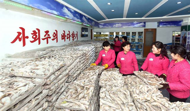 김정은 북한 노동당 위원장이 군 수산사업소에서 잡은 물고기를 평양 시민들에게 전달했다고 조선중앙통신이 22일 보도했다. 평양 조선중앙통신=연합뉴스