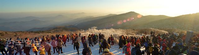 신상순 선임기자 /2017-01-01(한국일보) /2017-01-01(한국일보)