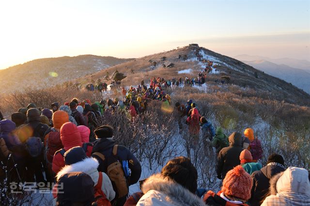 태백산 장군봉에서 떠오를 는 태양의 햇살을 받으며 장군봉에서 천제단으로 오르고 있다. 신상순 선임기자 /2017-01-01(한국일보)