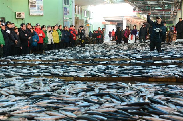 새해 첫 수산물 경매인 초매식이 열린 2일 오전 부산 서구 남부민동 부산공동어시장에서 중도매인들이 경매에 참여하고 있다.