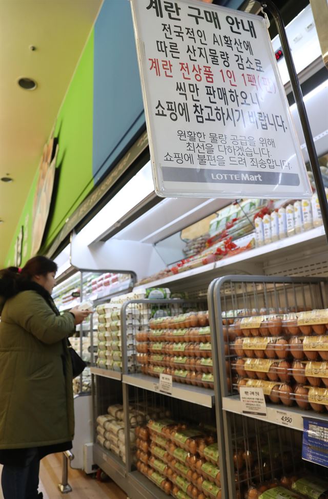 지난달 27일 오전 서울 중구 롯데마트 서울역점에서 한 고객이 계란을 고르고 있다. 한국일보 자료사진