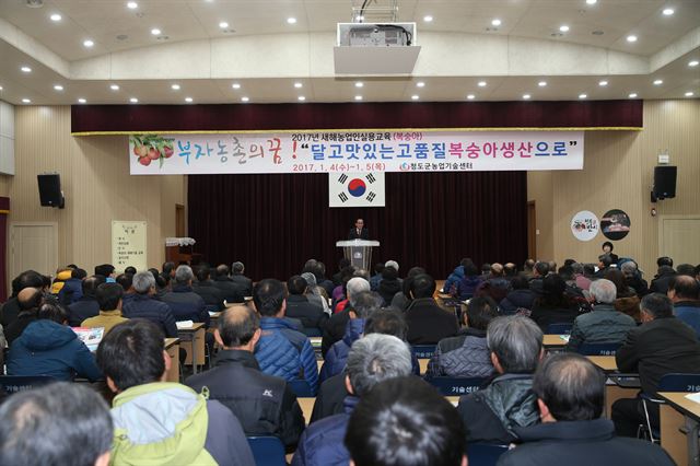 4일 복숭아에 대한 새해농업인실용교육이 진행되고 있다. 청도군 제공