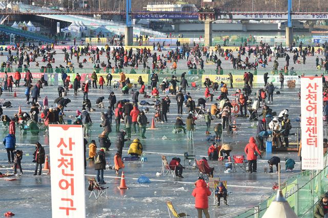 지난해 1월 열린 산천어축제. 한국일보 자료사진