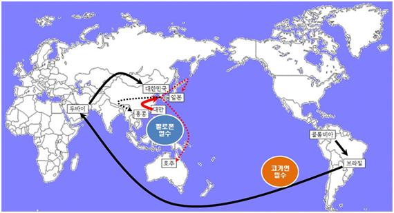 필로폰ㆍ코카인 국제 밀수 주요 경로. 인천지검 제공