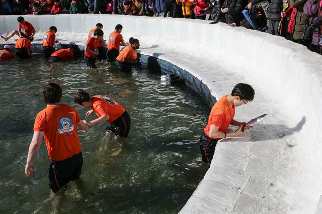 축제의 메인 이벤트 맨손잡이. 잡은 물고기는 바로 티셔츠 안에 담아야 하는데, 막상 넣어보면 크게 거부감이 들진 않는다.