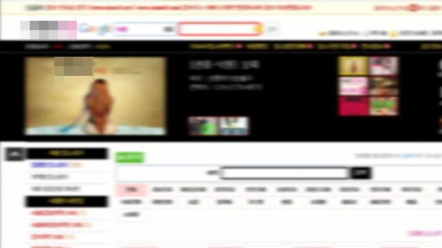 경기남부지방경찰청 사이버수사대가 적발한 성매매 알선을 목적으로 한 불법 음란물 사이트. 경기남부청 제공