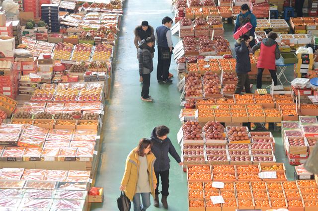 설 명절을 앞두고 부산 해운대구 반여농산물도매시장를 찾은 시민들이 제수용과 선물용 과일을 둘러보고 있다. 부산=전혜원 기자 iamjhw@hankookilbo.com