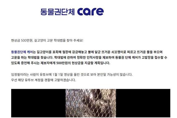 케어는 길고양이 학대범 제보자에게 500만원의 현상금을 걸었다. 케어 홈페이지 캡처