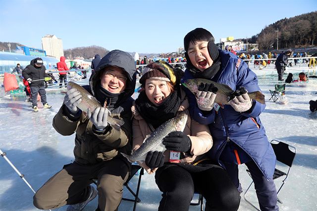 평창군이 개최하는 송어축제는 동계올림픽 홍보는 물론 송어 맨손잡기 체험, 얼음 낚시 등 관광객의 오감을 만족시키는 다채로운 체험거리를 선사하고 있다. 평창군 제공