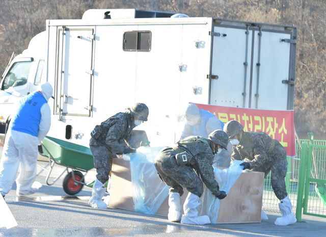 지난해 11월 농림축산식품부가 강원도 횡성군 섬강유원지에서 구제역 방역체계와 대응 능력을 강화하기 위한 가상방역 현장훈련을 벌이고 있다. 횡성군 제공