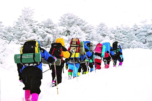 적설기 훈련을 위해 한라산을 오르는 산악인들.