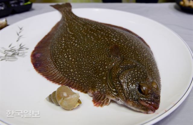 오돌토돌한 줄가자미, 맛은 쫄깃쫄깃.