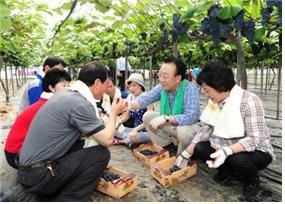 김관용(오른쪽 두번째) 경북도지사가 농민들과 현장 간담회를 하고 있다. 경북도 제공