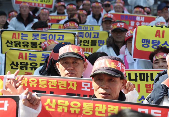 27일 오후 정부세종청사 농림축산식품부 앞에서 한국토종닭협회 소속회원들이 조류인플루엔자(AI) 관련 대책을 요구하며 시위를 벌이고 있다. 연합뉴스