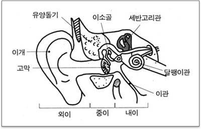 귀 구조. 삼성서울병원 제공