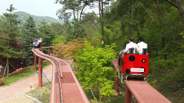 2일 개장한 속리산 솔향공원의 스카이바이크. 1.6㎞의 전 코스가 우거진 소나무 숲을 통과한다. 보은군 제공