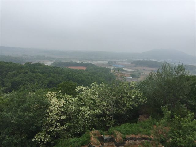 서부지역 파주 DMZ. 국립생태원 제공