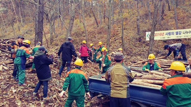 안동시가 '2017 공공산림가꾸기 사업'을 본격 시행한다(사진은 지난해 사업 모습). 안동시 제공.