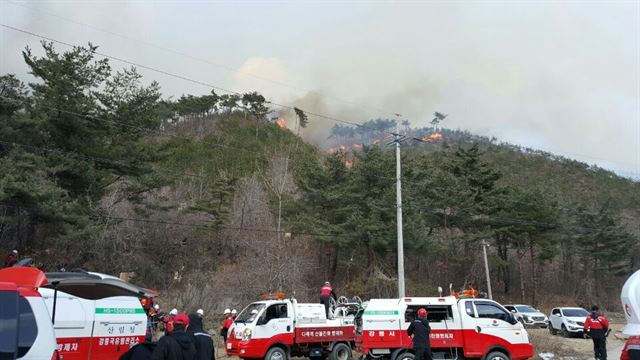 강원 강릉시 옥계면 산계리 야산에서 산불이 나자 산림당국이 헬기 16대와 인력 970여 명을 동원해 진화작업을 벌이고 있다. 동부지방산림청 제공