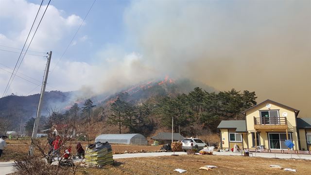 9일 오전 10시28분쯤 강릉시 옥계면 산계리에서 발생한 산불이 강한 바람을 타고 민가쪽으로 번지자 산림당국은 방어선을 구축해 만일의 사태에 대비하고 있다. 동부지방산림청 제공