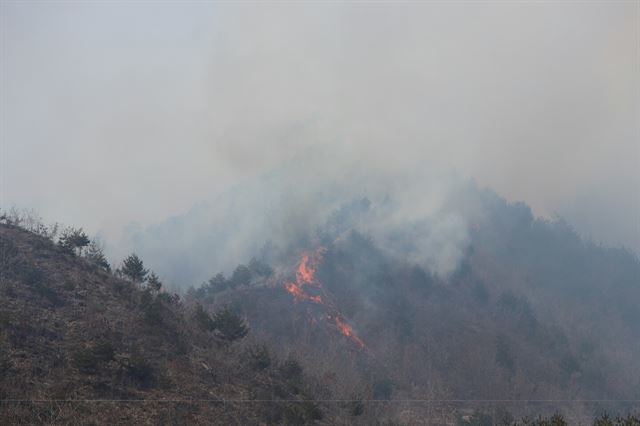 9일 오전 강릉시 옥계면 산계리에서 발생한 산불이 강한 바람을 타고 능선 방향으로 번지고 있다. 강릉시 제공