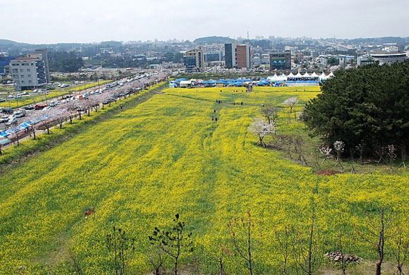 제주시 시민복지타운 시청사 부지 전경. .