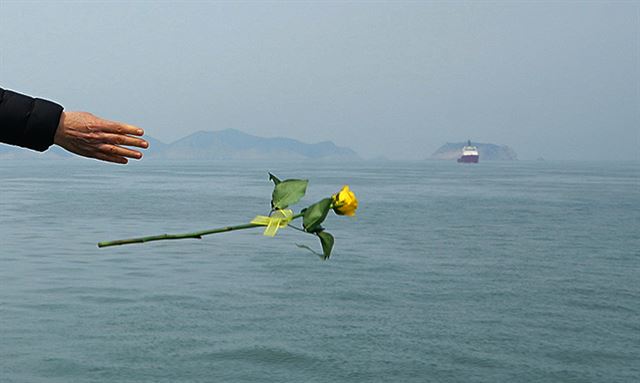 28일 전남 진도군 세월호 사고해역 근처 선박에서 열린 세월호 미수습자의 조기수습을 기원하는 4대 종단 종교행사에서 미수습자 가족들이 노란장미를 바다에 던지고 있다. 해양수산부 제공