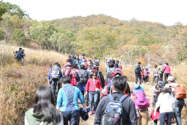 등산객들이 포천 명성산을 오르고 있다. 포천시 제공