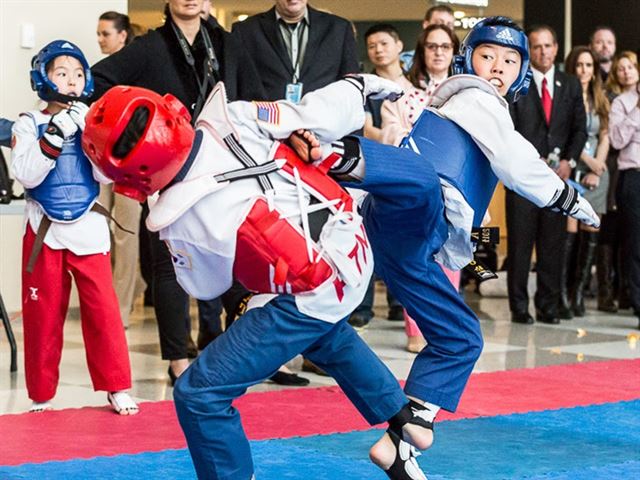 29일 뉴욕유엔본부에서 국제스포츠의 날 기념 태권도 친선 경기가 열리고 있다. 세계태권도연맹 제공