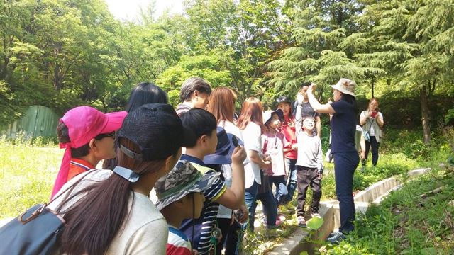 대전시는 환경성질환으로 고통을 받고 있는 초등학교 학생들을 대상으로 보문산 숲에서 예방치유 프로그램을 운영한다. 사진은 지난해 참가 학생들의 자연생태숲 체험 모습. 대전시 제공