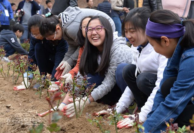 [저작권 한국일보] 5일 오전 서울 중랑구 묵동천 자연학습장 일대에서 열린 식목일 장미 심기 행사에서 어린이들이 장미 묘목을 심고있다. 2017.4.5 / 류효진기자 /2017-04-05(한국일보)