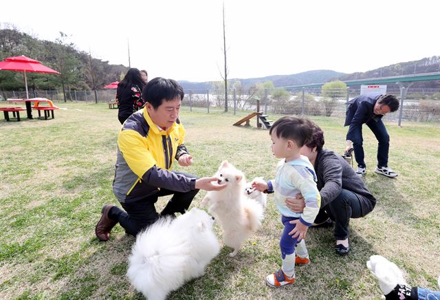 정찬민(앞줄 왼쪽) 경기 용인시장이 12일 개장하는 기흥호수공원 반려견 놀이터를 미리 찾아 시민들과 즐거운 시간을 보내고 있다. 용인시 제공