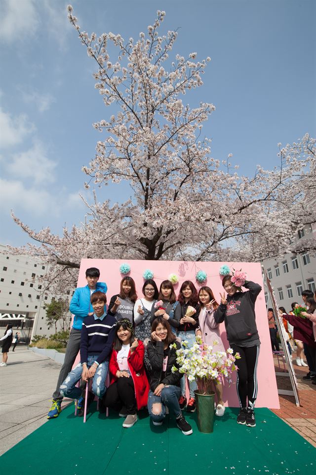 전주대에 유학 온 베트남 학생들이 12일 교정에서 열리고 있는 벚꽃축제에 참가해 기념사진을 찍고 있다. 전주대 제공