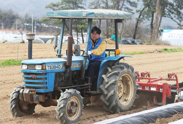 14일 오전 경기도 이천시 율면 본죽리에서 열린 ‘2017년 범농협 전국동시 영농지원 발대식 및 농촌일손돕기’에서 김병원 농협중앙회장이 트랙터 작업을 하고 있다. 이천=연합뉴스