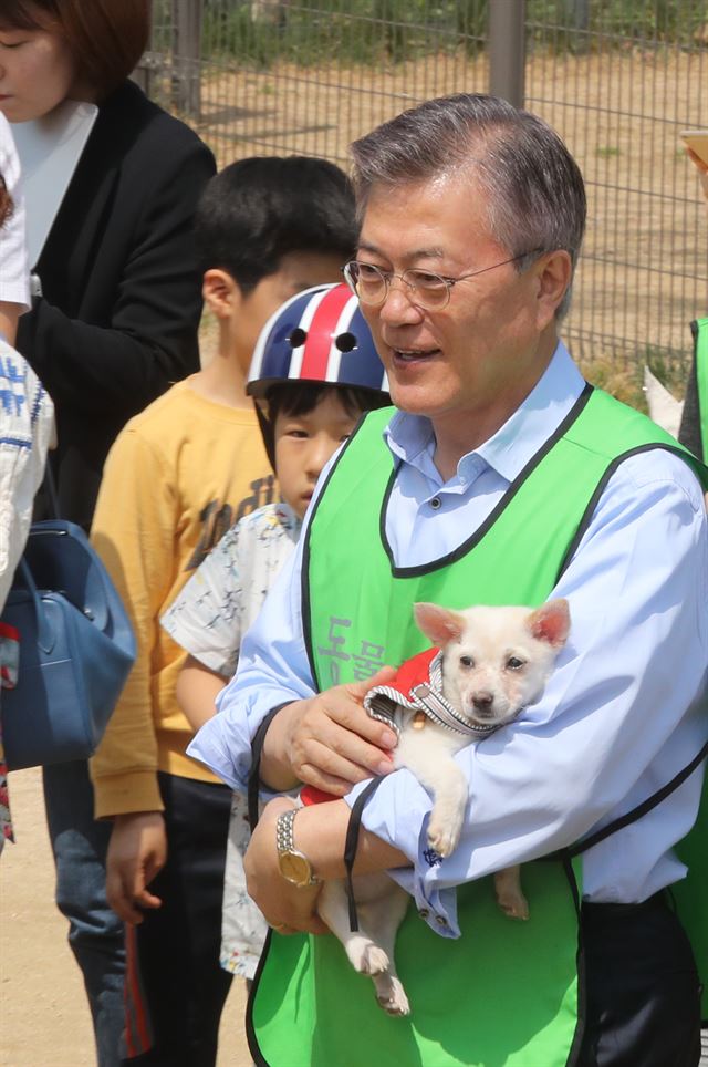 그림 1문재인 더불어민주당 대선후보가 15일 서울 마포구 상암월드컵공원내 반려견 놀이터를 방문, 반려견을 안아보고 있다. 연합뉴스