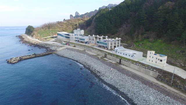 경북 울릉군 북면 현포리에 위치한 한국해양과학기술원 울릉도ㆍ독도해양과학기지 전경. 연구기지 제공.