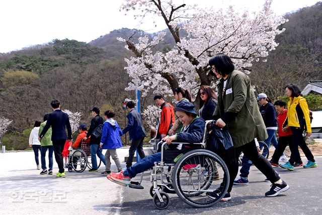 영암은광학교 학생들이 13일 고창 선운사로 봄나들이를 나섰다. 최흥수기자